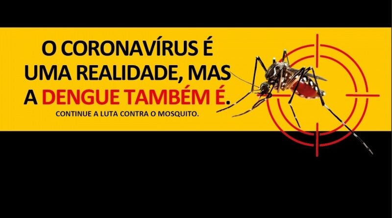 Combate a Dengue